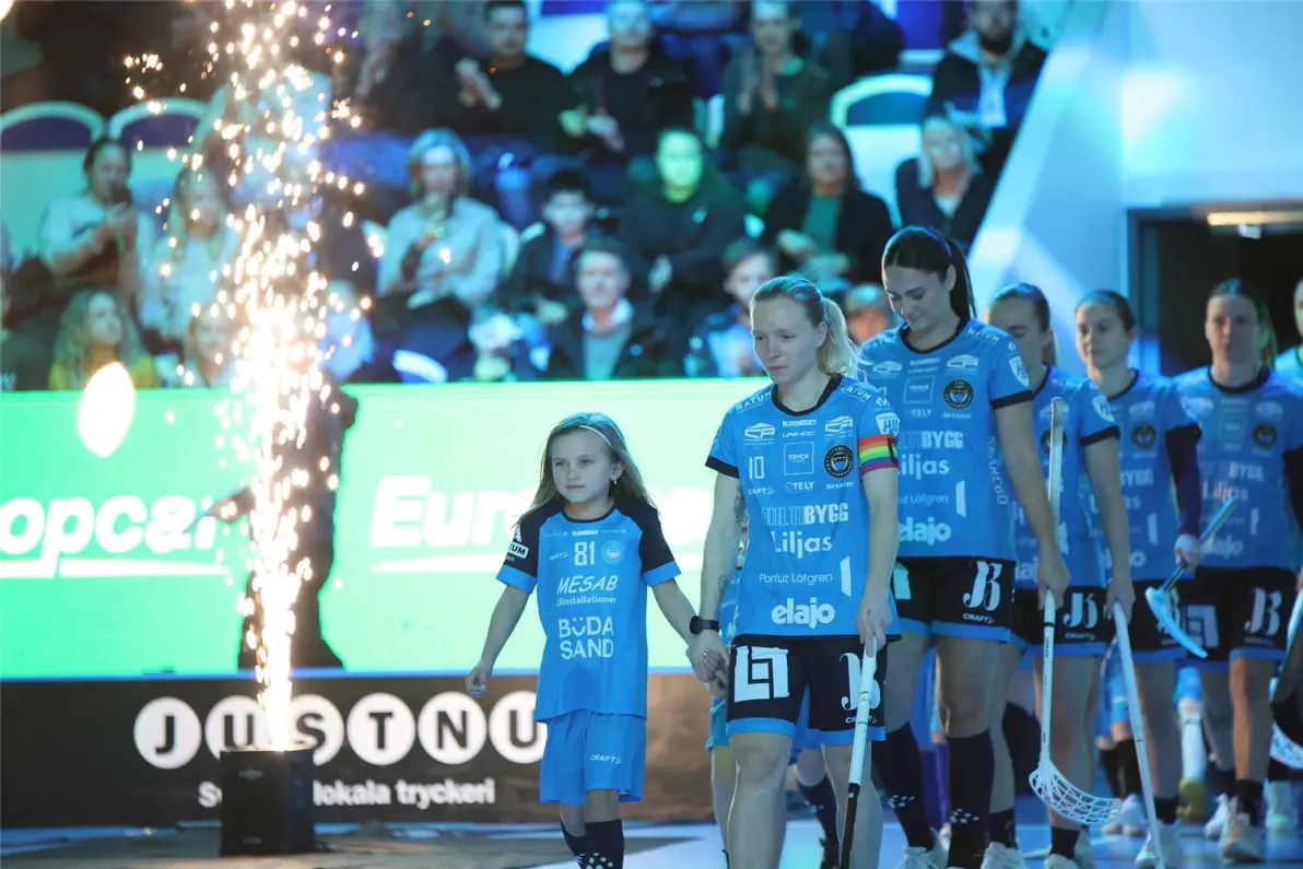 包含瑞典以惊艳表现赢得对阵乌克兰的胜利的词条