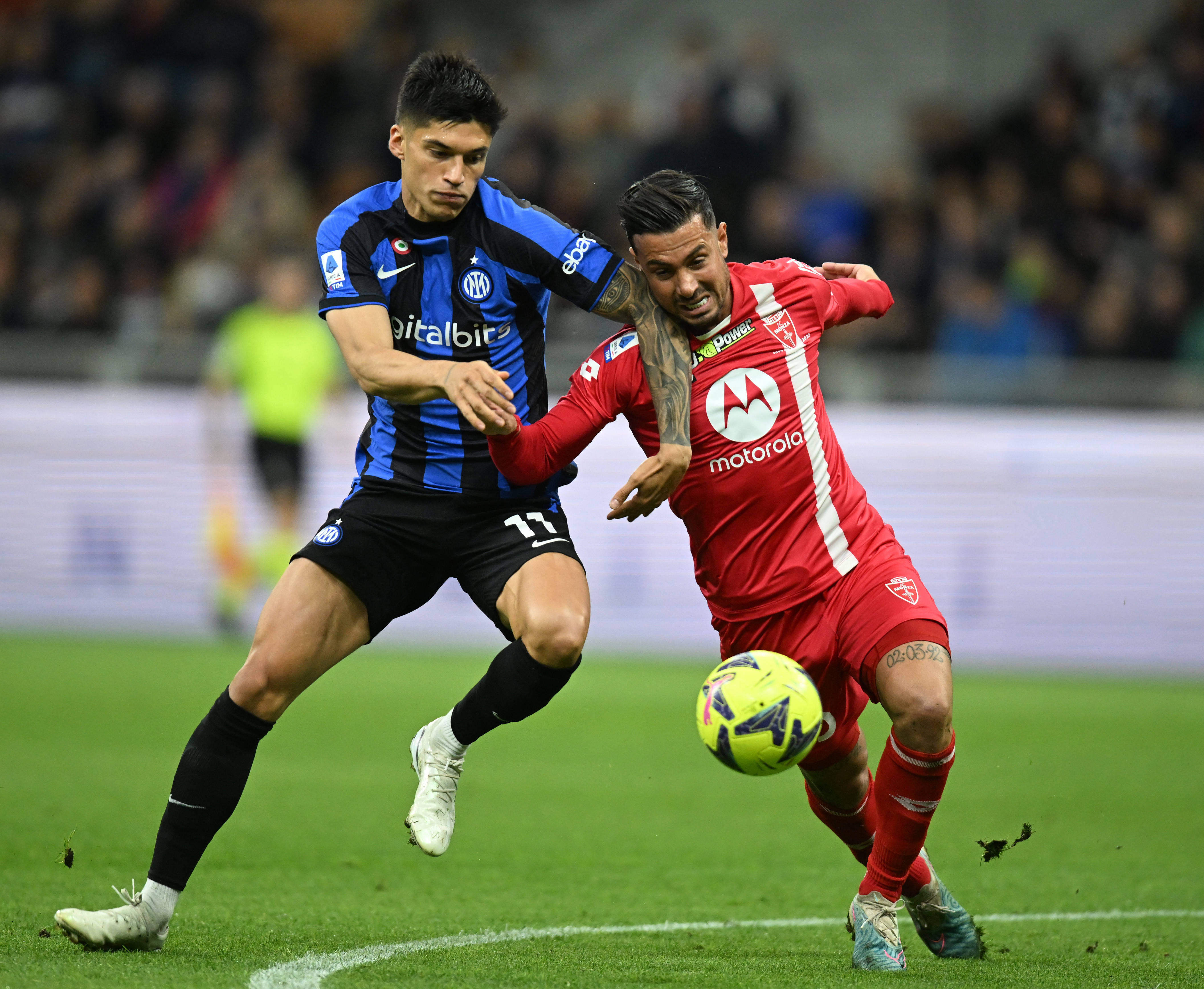 包含博洛尼亚球员集体请战，誓要全力以赴拼搏的词条