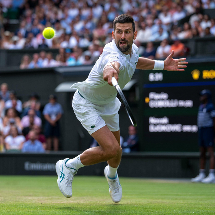 温网轻取美网，德约科维奇统治全场的简单介绍
