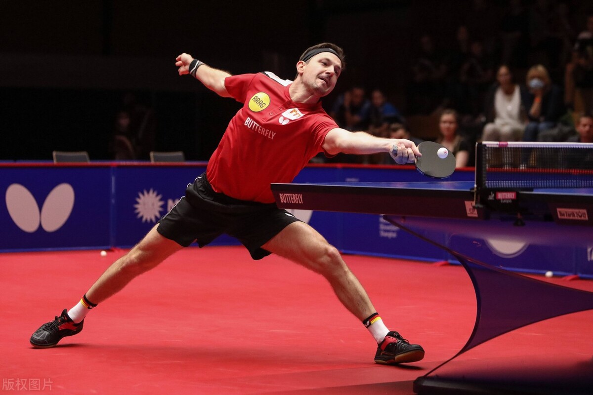 瑞典队力克波兰队，波尔状态火热的简单介绍